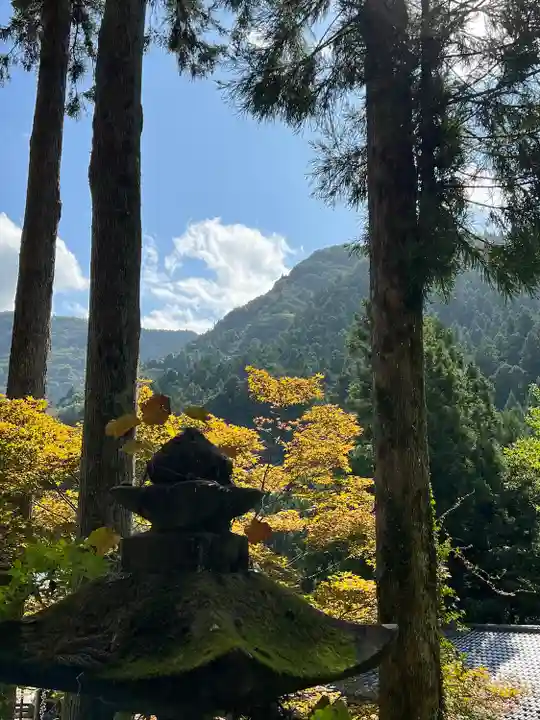 橋立堂(埼玉県)