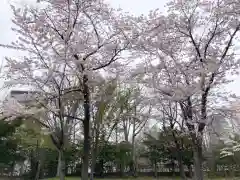 札幌護國神社の自然