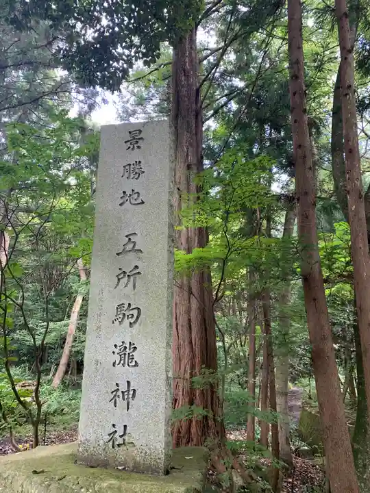 五所駒瀧神社(茨城県)