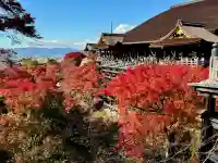 清水寺の{uncategorized: "未分類", other: "その他", undefined: "問題あり", building: "その他建物", grave: "お墓", sacred_gate: "鳥居", guardian: "狛犬", statue: "像", buddha: "仏像", history: "歴史", nature: "自然", garden: "庭園", animal: "動物", pagoda: "塔", temizu: "手水舎", mountain_gate: "山門・神門", sanctuary: "本殿・本堂", subordinate: "末社・摂社", art: "芸術", scenery: "景色", jizo: "地蔵", ema: "絵馬", goshuin: "御朱印", omikuji: "おみくじ", items: "授与品その他", amulet: "お守り", goshuincho: "御朱印帳", eats: "食事", festival: "お祭り", votive_dance: "神楽", shichigosan: "七五三参", wedding: "結婚式", experience: "体験その他", initially: "初詣", around: "周辺", anti_infection: "感染症対策"}