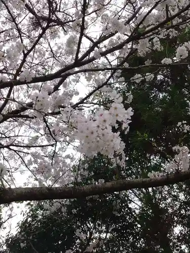 河内阿蘇神社(熊本県)
