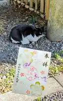 白金氷川神社の御朱印