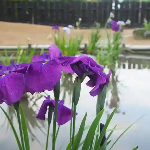 大安禅寺(福井県)