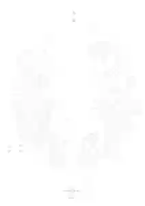 本照寺の体験その他(2020年06月08日(月) 10時46分54秒投稿)