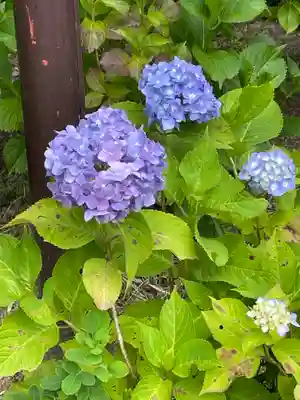 久安寺(大阪府)