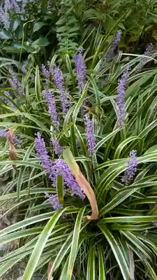 福田寺(京都府)