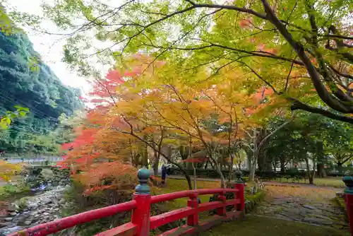 大寧寺(山口県)