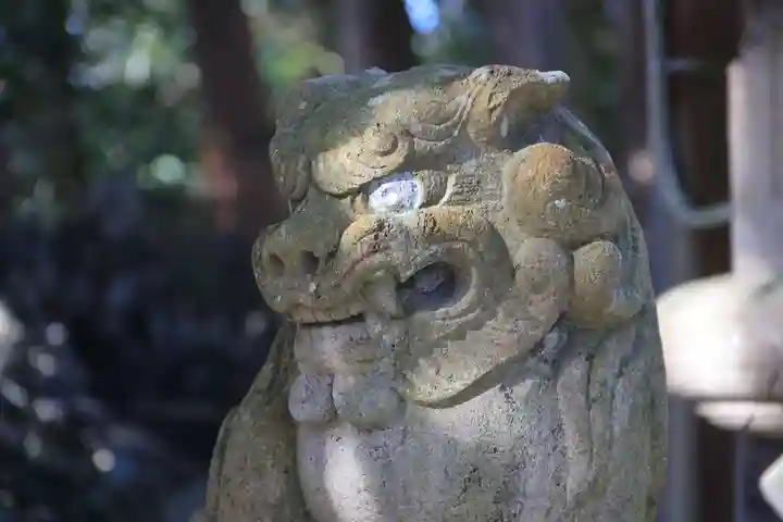 和田神社の狛犬