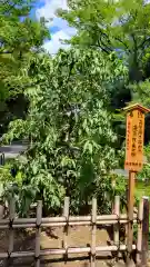 和樂備神社の庭園