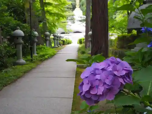 久安寺のその他建物