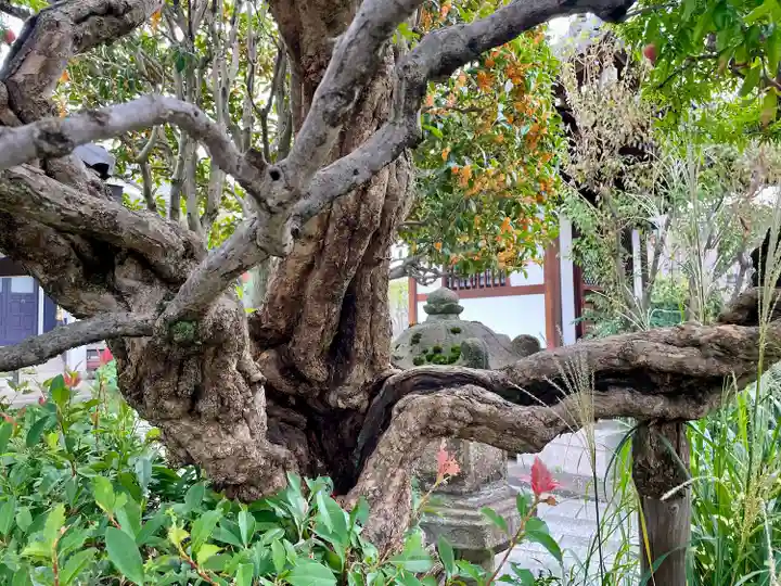 明王院(東京都)