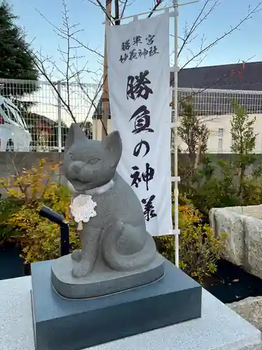 駒込妙義神社の狛犬