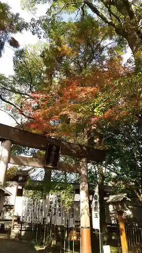 若宮神明社の鳥居