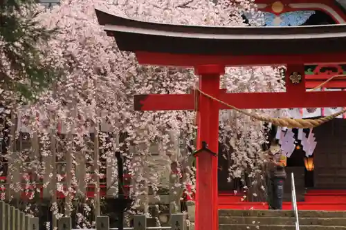 小川諏訪神社の鳥居