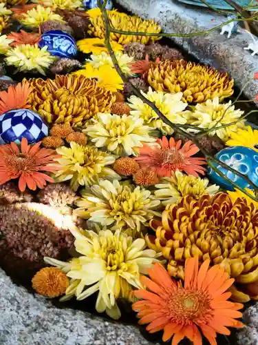 都波岐奈加等神社の手水