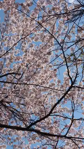 相馬神社(北海道)
