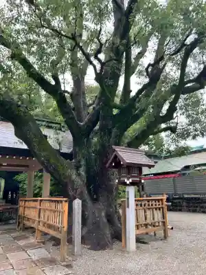 大鳥大社(大阪府)