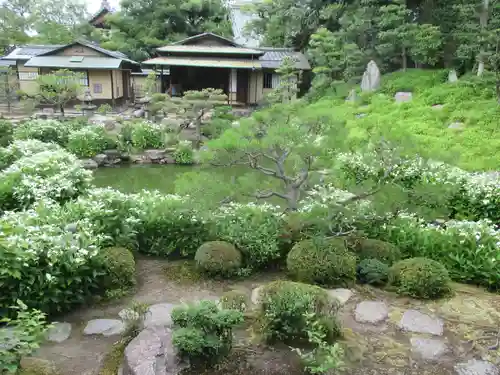 両足院の庭園