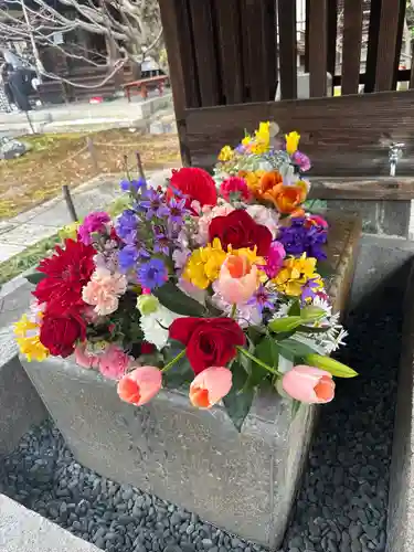 勝林寺(京都府)