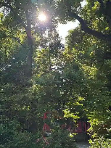 日枝神社の{uncategorized: "未分類", other: "その他", undefined: "問題あり", building: "その他建物", grave: "お墓", sacred_gate: "鳥居", guardian: "狛犬", statue: "像", buddha: "仏像", history: "歴史", nature: "自然", garden: "庭園", animal: "動物", pagoda: "塔", temizu: "手水舎", mountain_gate: "山門・神門", sanctuary: "本殿・本堂", subordinate: "末社・摂社", art: "芸術", scenery: "景色", jizo: "地蔵", ema: "絵馬", goshuin: "御朱印", omikuji: "おみくじ", items: "授与品その他", amulet: "お守り", goshuincho: "御朱印帳", eats: "食事", festival: "お祭り", votive_dance: "神楽", shichigosan: "七五三参", wedding: "結婚式", experience: "体験その他", initially: "初詣", around: "周辺", anti_infection: "感染症対策"}