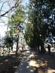 駒林八幡神社(埼玉県)