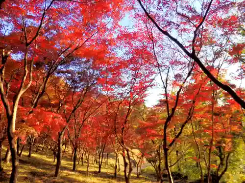 足利織姫神社の自然