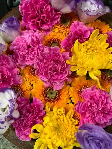 彌都加伎神社の手水舎