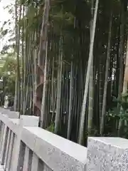 不知森神社の自然
