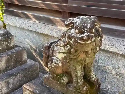 杵築神社の狛犬