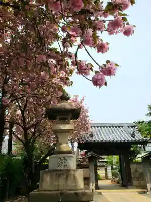 荘厳寺(東京都)