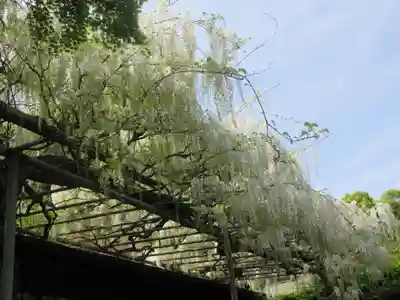 英勝寺(神奈川県)