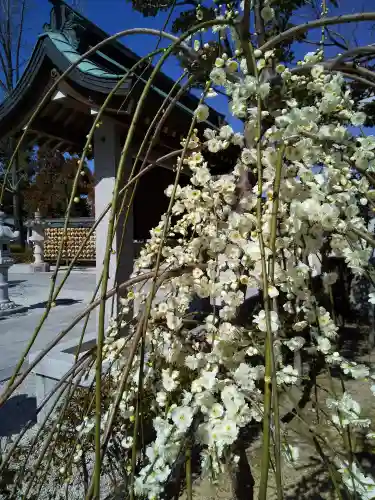伊和志津神社(兵庫県)