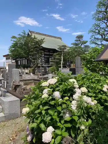 興全寺(神奈川県)