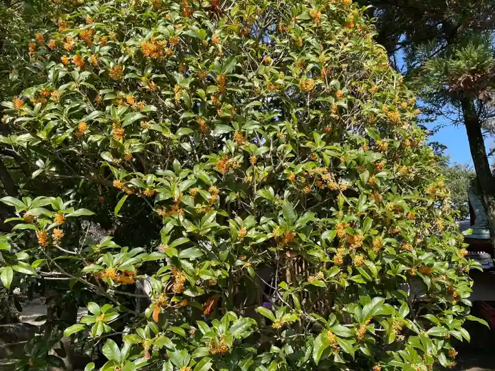 伊勢の国 四天王寺の自然