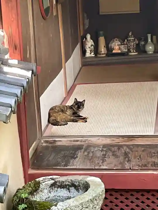 十輪寺(京都府)