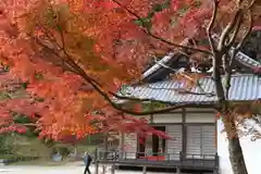 正暦寺の建物その他