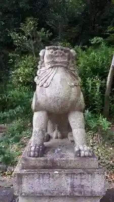 宮城縣護國神社の狛犬
