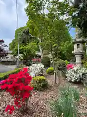 瀧宮神社(埼玉県)