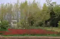 藤稲荷神社の周辺