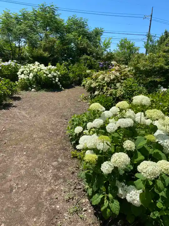 大神山神社本宮(鳥取県)