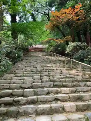 室生寺の{uncategorized: "未分類", other: "その他", undefined: "問題あり", building: "その他建物", grave: "お墓", sacred_gate: "鳥居", guardian: "狛犬", statue: "像", buddha: "仏像", history: "歴史", nature: "自然", garden: "庭園", animal: "動物", pagoda: "塔", temizu: "手水舎", mountain_gate: "山門・神門", sanctuary: "本殿・本堂", subordinate: "末社・摂社", art: "芸術", scenery: "景色", jizo: "地蔵", ema: "絵馬", goshuin: "御朱印", omikuji: "おみくじ", items: "授与品その他", amulet: "お守り", goshuincho: "御朱印帳", eats: "食事", festival: "お祭り", votive_dance: "神楽", shichigosan: "七五三参", wedding: "結婚式", experience: "体験その他", initially: "初詣", around: "周辺", anti_infection: "感染症対策"}