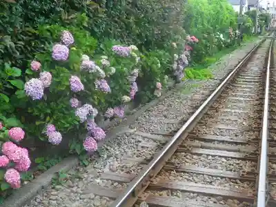 御霊神社の周辺