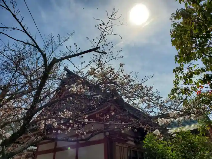 平野八幡神社の本殿