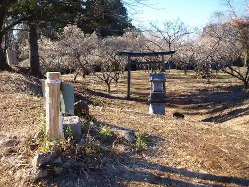 壽命院 永徳寺の鳥居