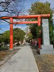 稲毛神社の鳥居