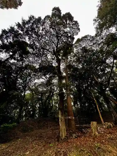 桜井大神宮(福岡県)