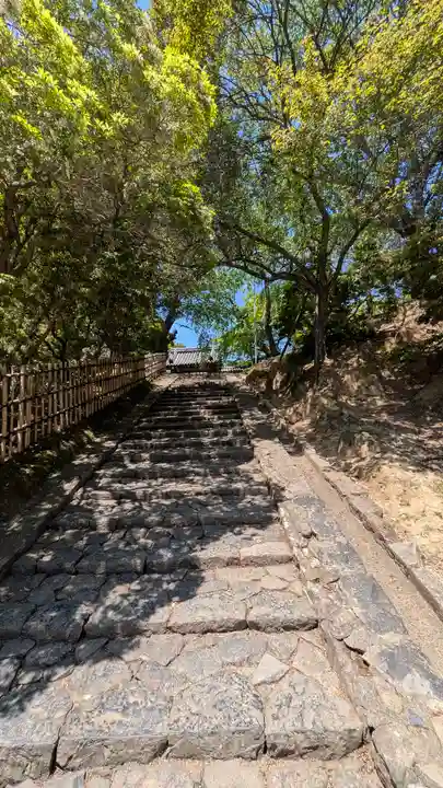 東大寺(奈良県)