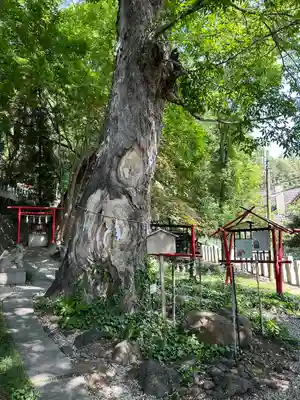 山名八幡宮(群馬県)