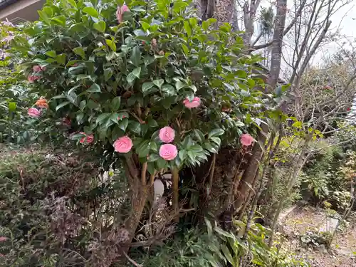 忍頂寺(大阪府)