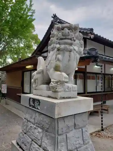 中津大神宮の狛犬